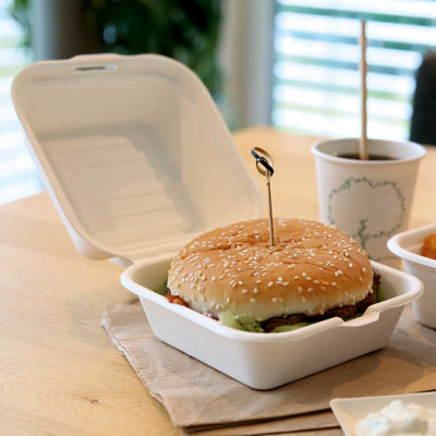 Bio lunchbox &amp;quot;Hamburger&amp;quot; | Caña de azúcar - Foto 2