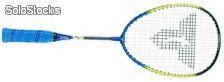 BISI Schulsport-Konzept Badminton Junior