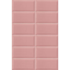 Bissel pink brillo 1ª 10x20