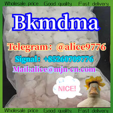 bkmdma	telegram/Signal:+85260709776