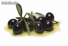 Black Olive with core