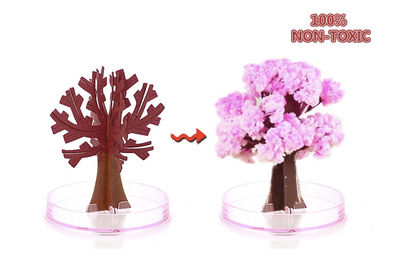 Blooming árbol de papel - Foto 3