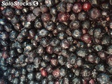 Blueberries iqf