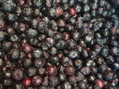 Blueberries iqf