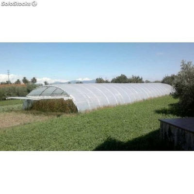Plástico agrícola negro 700 galgas - rollo 12 x 46 m (552 m2)