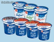 Bodensee Joghurt - 150 g Becher