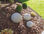 Bolas de piedra natural decoración de jardines patios bolas decorativas piedras - 1