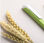 Bolígrafo de fibra de trigo - Foto 5