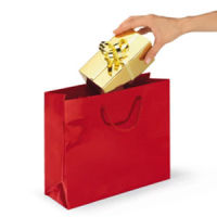 Bolsa de regalo papel charol (19 x 27 x 10 cm) - Roja