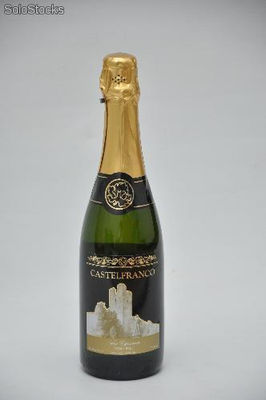 Botella 750cm3 Castelfranco Champagne Extra Brut