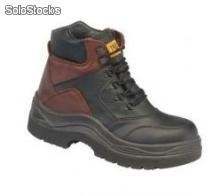 Botin Explorer 335