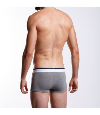 Boxer Basic - Photo 2