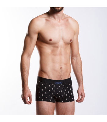 Boxer motif logo Azzaro