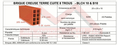 Brique Rouge BLCH10 &amp;amp; B10 - Briques creuses - Photo 2