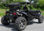 Buggy tension 1100 extreme 4x4 Street Legal - 2