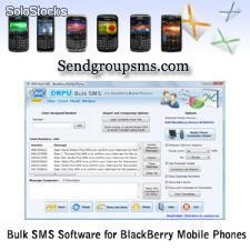 Bulk sms Software for BlackBerry Mobile Phones