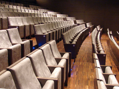 Butaca Auditorios, teatros, salas de conferencias - Foto 5