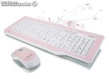 Butterfly Desktop Pink