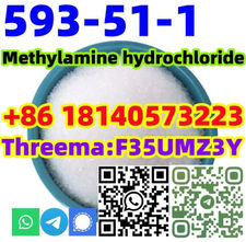 Buy Hot sale CAS 593-51-1 Methylamine hydrochloride with Safe Delivery