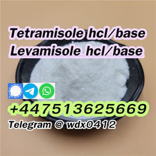 Buy powder Tetramisole hydrochloride cas 5086-74-8