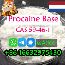 Buy Procaine base CAS 59-46-1 Procaine powder