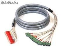 Cable brassage réseau Orgaripatch 8 ou 12 brins Peigne/Etoile