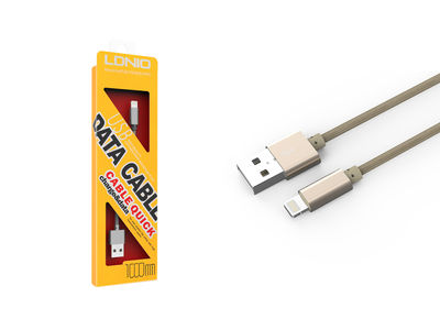 Câble de chargement chrome type Lightning pour iPhone, iPad &amp; iPod