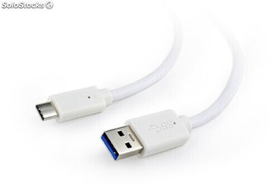CableXpert usb 3.0 auf Type-c Kabel (am/cm) 0.5 m ccp-USB3-amcm-w-0.5M