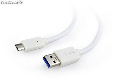 CableXpert usb 3.0 Type-c Kabel (am/cm) 1.8 m ccp-USB3-amcm-6-w