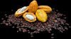 cacao poudre