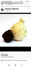 Caciocavallo al tartufo