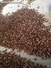 cafe en grano arabica 100%