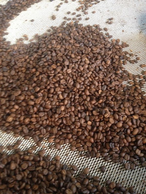 cafe en grano arabica 100%