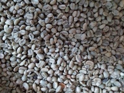 Café Verde, Oro Naturales, Arábiga de Chiapas, 60 Kgs