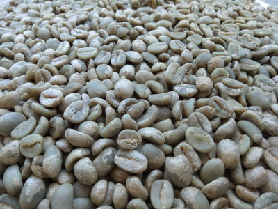 Café Verde, Preparación Americana de Estricta Altura, de Chiapas, 30 Kgs