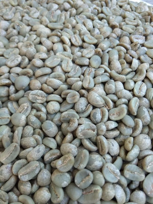 Café Verde, Preparación Europea de Estricta Altura, Chiapas, 60 kgs