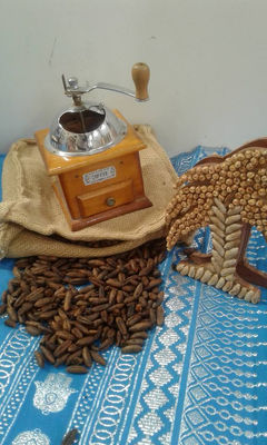 Caffé de noyaux de dattes - Photo 2