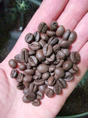 Caffè Torrefatto in Grani 1 kg - Miscela Top Quality per Vending con vostro LOGO - Foto 4