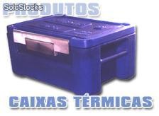 Caixa Térmica 30 Litros