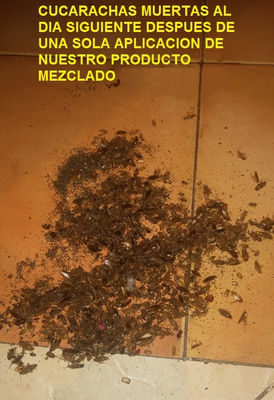 CAJA insecticida para GEL anticucarachas - Foto 4