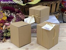 Comprar Caja Carton Kraft | Catálogo Carton Kraft en