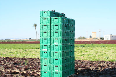Cajas de plástico para agricultura - Foto 4