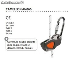 Cameleon AN066