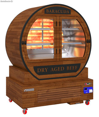 Camera di maturazione della carne Dry Aging ERG LUX 1350x910x1780mm