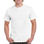 Camiseta adulto manga corta blanca - 1