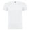 camiseta beagle adulto blanca - 1