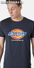 Camiseta denison hombre (DT6010)