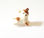 Cane in miniatura per casa delle bambole e collezionismo!!! - Foto 3