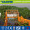 Capacidad alta JLGC-A300 Cosechadora automática de jacinto de agua - 1