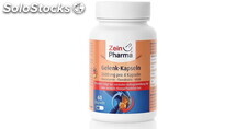 Capsules articulaires (60 capsules) &quot;Zein Pharma&quot;